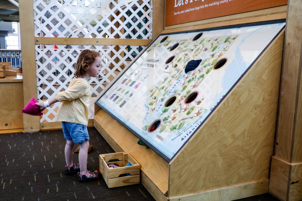 Here We Grow, Port Discovery Children's Museum, Baltimore, Maryland